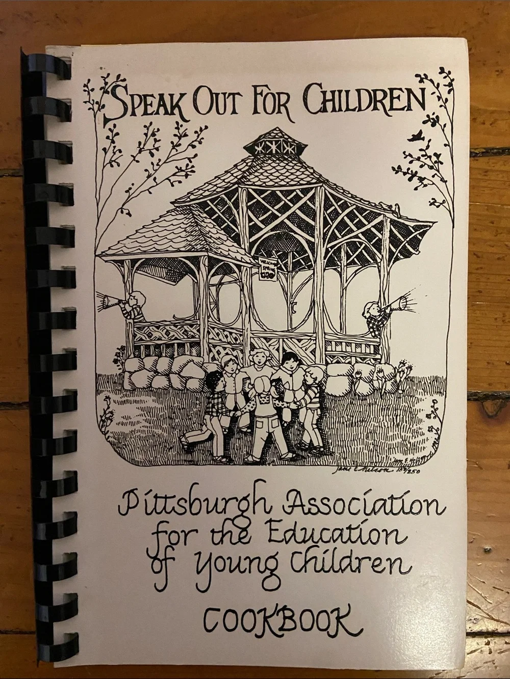 Vintage 90s 1990s Spiral community Cookbook Pittsburgh Pennsylvania Western PA